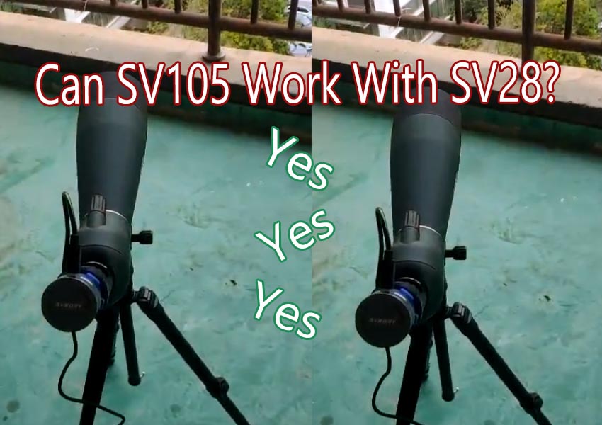SV105 Camera Work With SV28 Spotting Scope